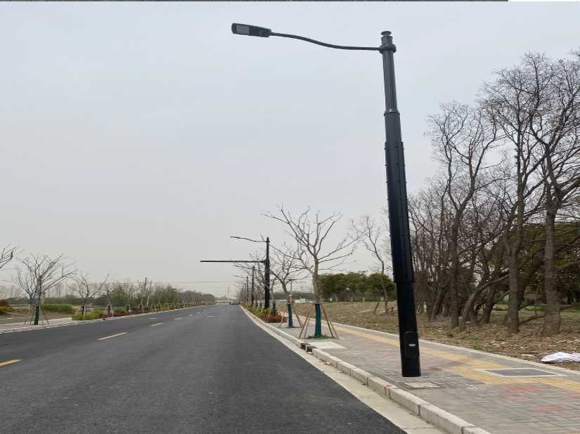 柞水县上海综合杆 太阳能路灯工程